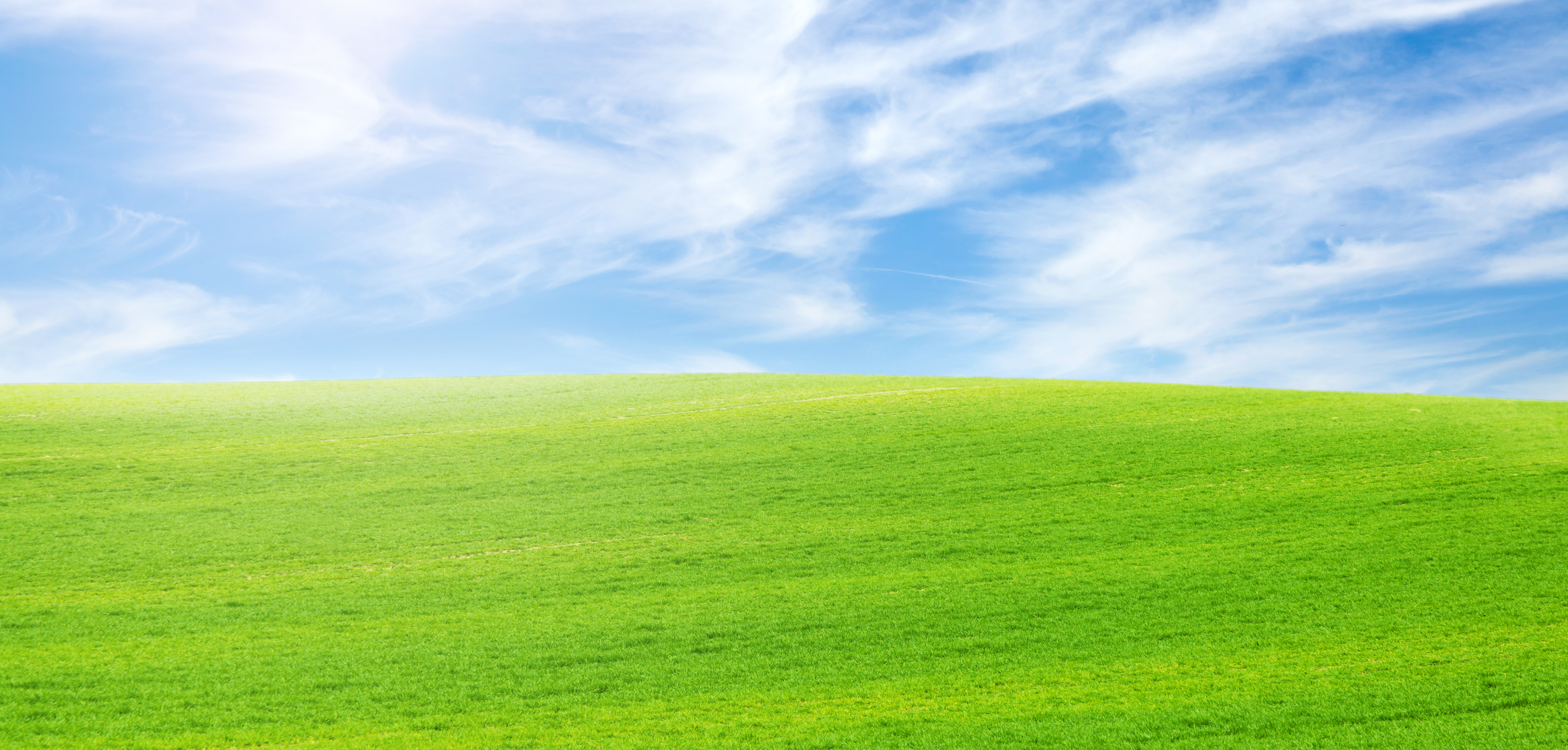 Grass And Sky Backgrounds